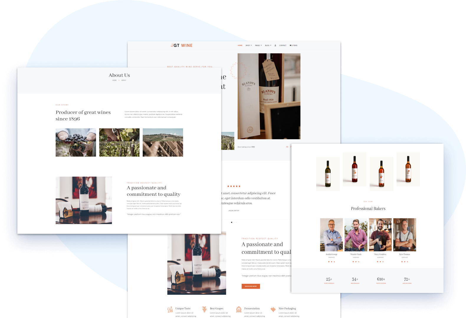 gt-wine - 2 lt-bank-wordpress-theme-detail